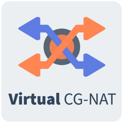 virtual cgnat boxed