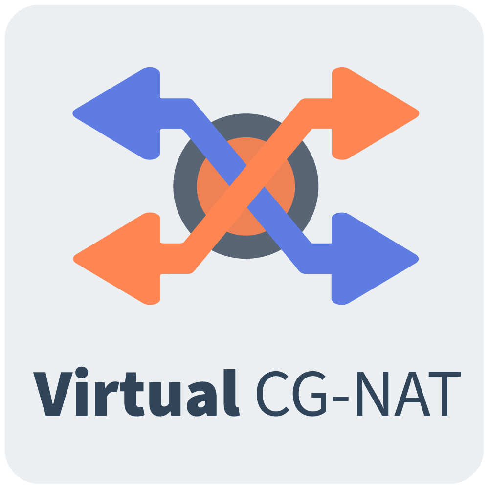 virtual cgnat boxed