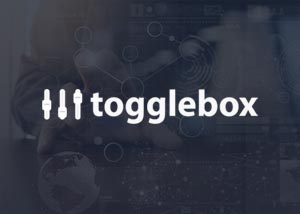 togglebox bg