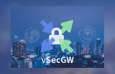 vsecgw 2