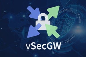 Virtual Security Gateway