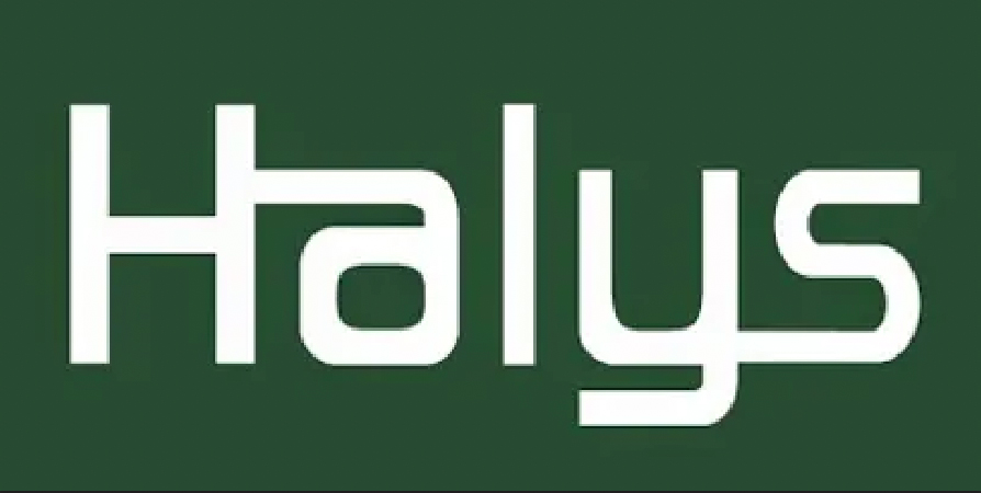 halys logo 1