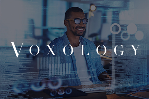 voxology success story