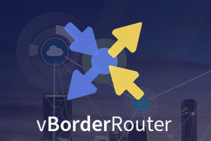 vborderRouter