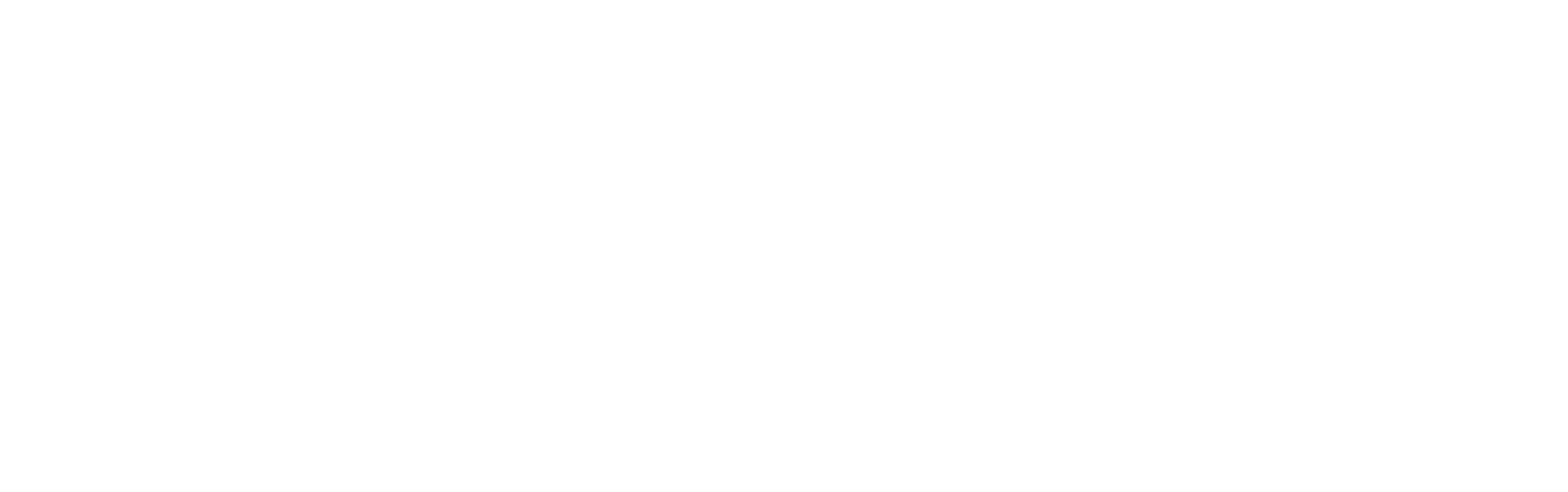 6wind logo white